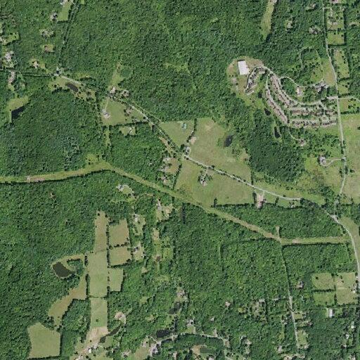 Person threatening self-harm at Windham residence