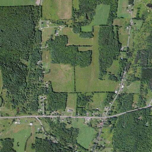 Woman with high blood pressure near State Hwy 206