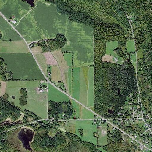 Theft reported from vehicle on County Route 11