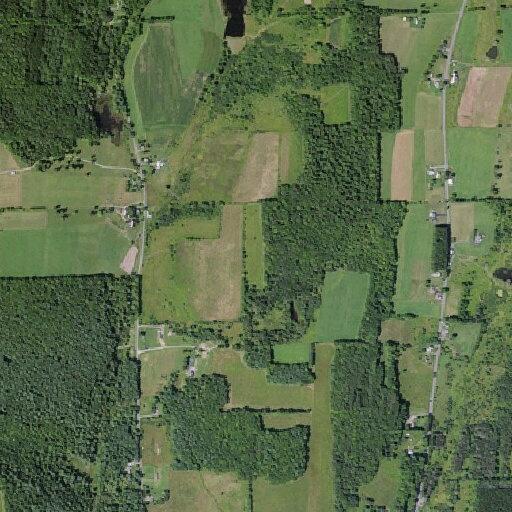 Medical call for sick person near Owlville Road, Bainbridge