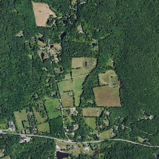 Elderly man with weakness and breathing issues at campground