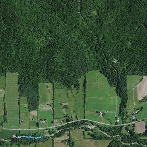Neighbor reportedly pointed gun at children near County Road 2