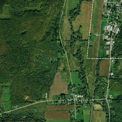 71-year-old man in and out of consciousness after fall