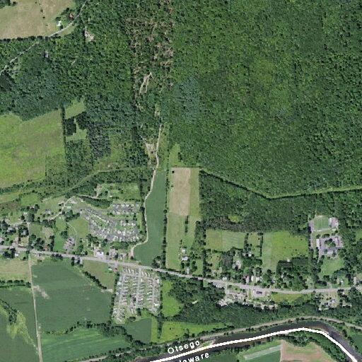 Woman with heart problem at 696 NY-7 in Unadilla