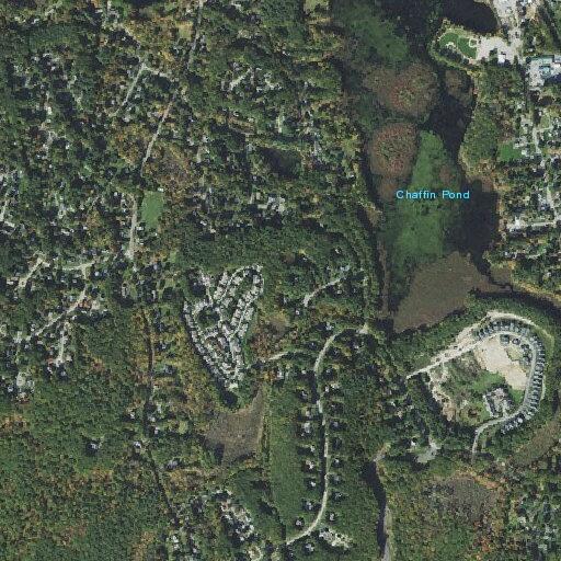91-year-old woman with chest pain at residence