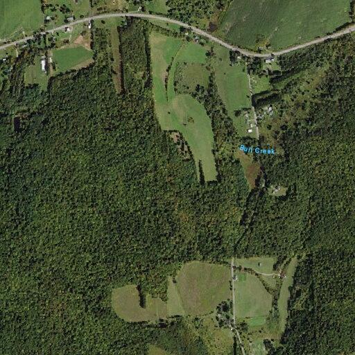 94-year-old woman fallen but conscious at Dings Hollow Rd
