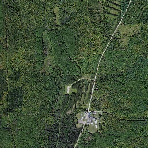 Teen group reported attempting entry; treated as criminal trespass near Evergreen Hill Rd