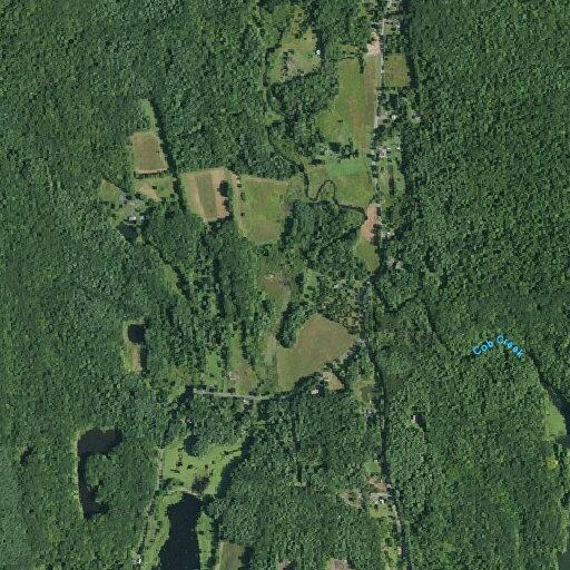 Tree blocking road on Weber Road in Coxsackie