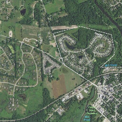 81-year-old woman falls with possible back injury in Dexter