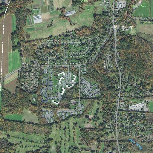Woman having seizure at Mill Valley Estates home