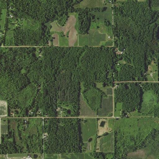 20-year-old female having a seizure at county road 380
