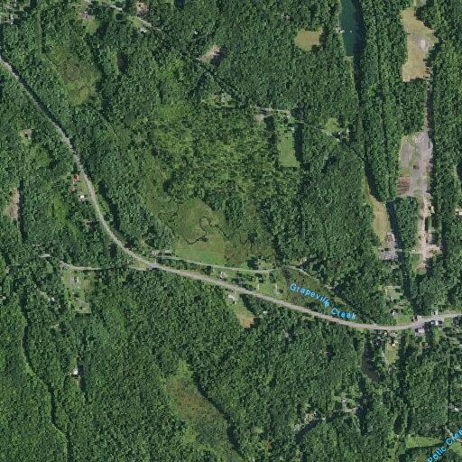 Tree blocking lane on Route 81 near Earlton, NY