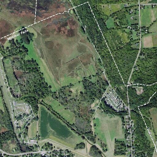 Man aged 56 suffers abdominal pain in Montour Falls