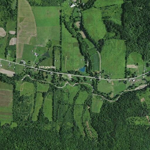 Elderly woman falls near County Road 32 in Arkport, NY