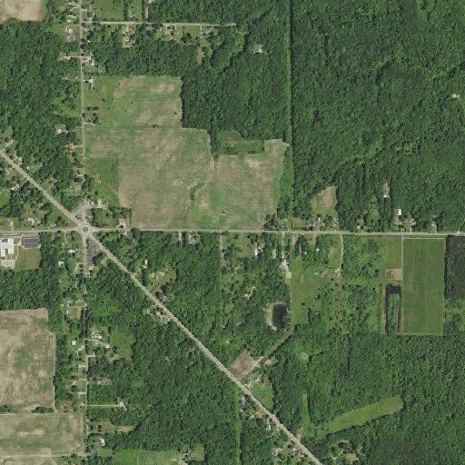 Tree on power lines causing sparks on M-43