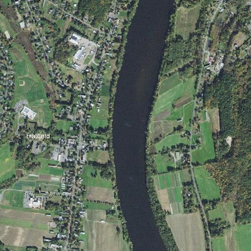 Elderly male falls near Main Street