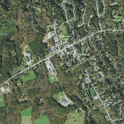 88-year-old female with back pain in Rutland