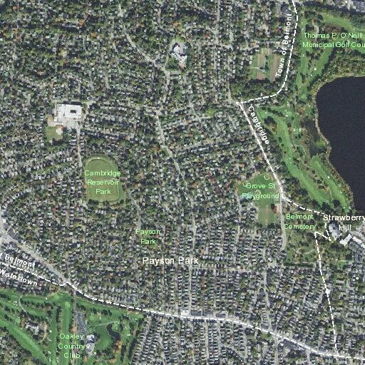 Person with psychiatric disorder reported at Belmont Street