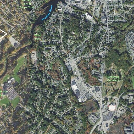 Elderly man choking on saliva near Hudson