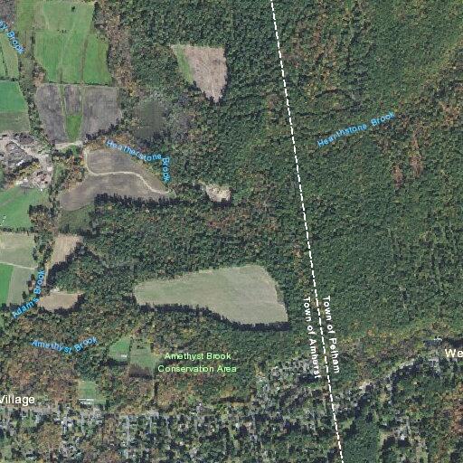 Report of domestic assault at Pelham Road home