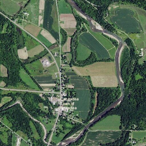 Police check on man left roadside near coyotes