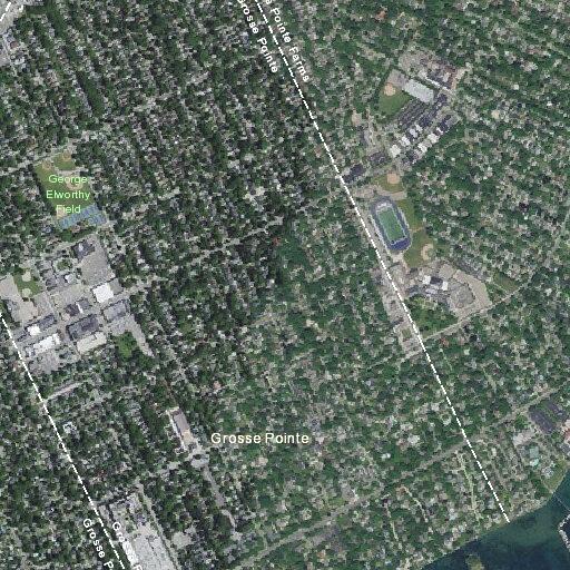 Dog barking complaint on St. Clair Avenue