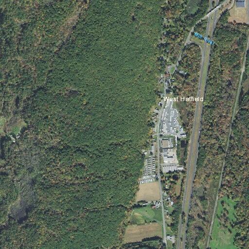 Elderly man experiencing eyesight problems in West Hatfield