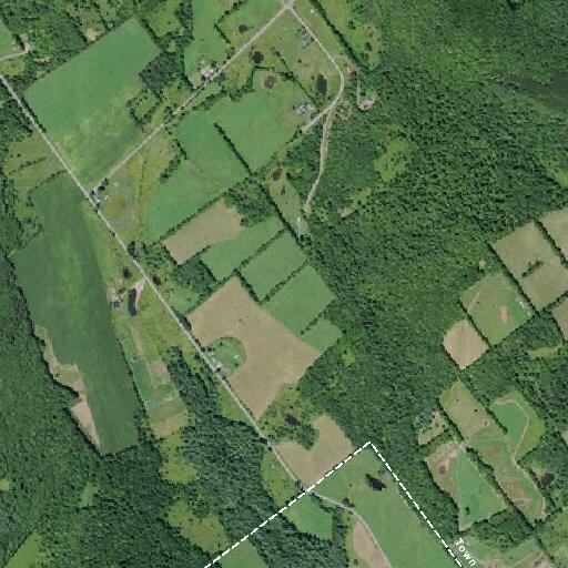 Advanced life support requested for pain at Whiskey Hollow Rd