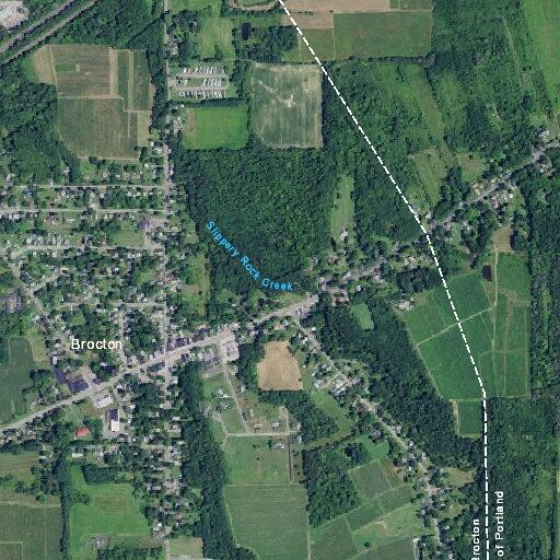73-year-old male fallen at home after back surgery