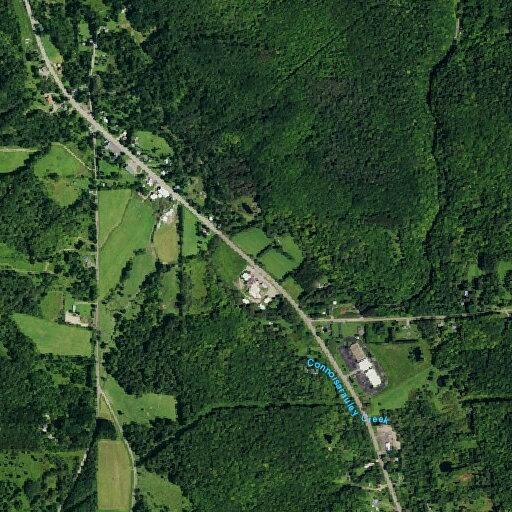 Traffic stop on Route 219 in West Valley
