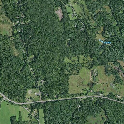 78-year-old man falls with no injuries in Surprise, NY