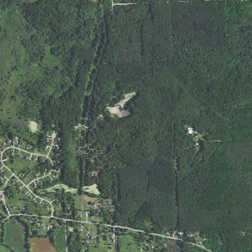 78-year-old woman falls and is unresponsive in Dexter
