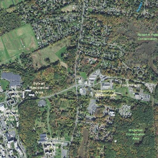 Dispute over teen’s cell phone at Village Park