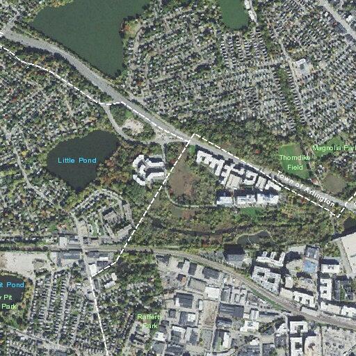 Person with minor left ankle pain near Turtle Pond