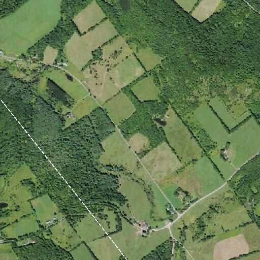 Man trampled by bull suffers head and rib injuries