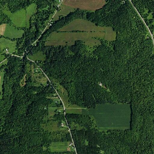 Elderly woman fallen near stady road with possible shoulder injury