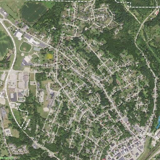 Theft reported at Galena Walmart on US 20