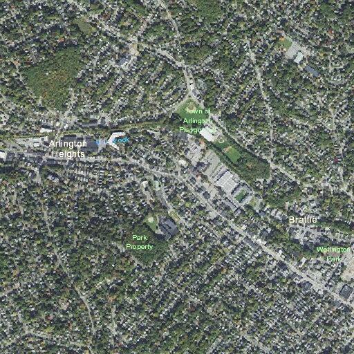 Elderly woman with stomach pain and vomiting near pine ridge road