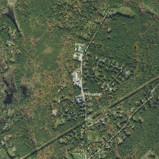 Elderly woman with breathing difficulty in Princeton