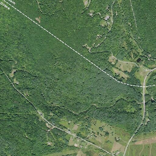 Male with altered mental status reported near Shew Hollow Rd in Gilboa