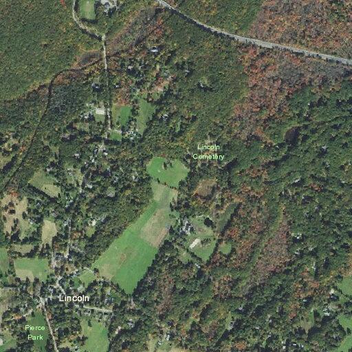 Elderly person falls near Trapelo Road with no injuries