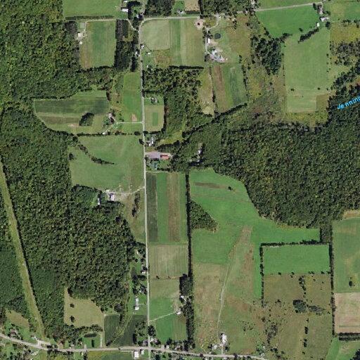 Domestic dispute reported on Hunts Corners Road