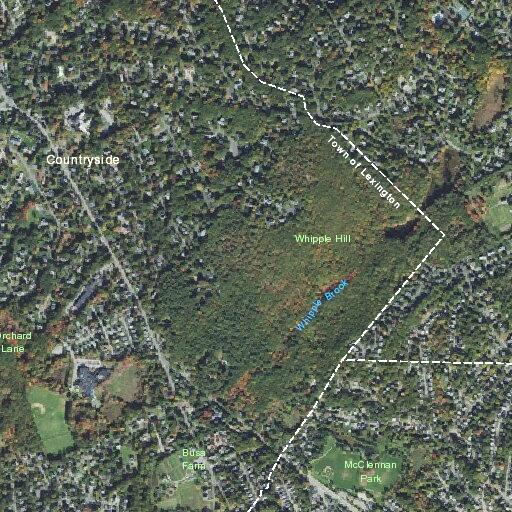 Officers unable to locate man or vehicle on Madison Ave