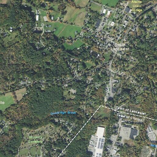 Downed tree reported on Pilgrim Road