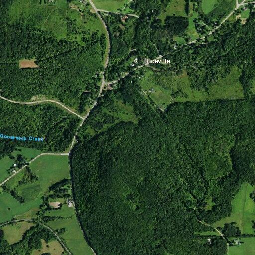 SUV hits deer on Route 240 in Ashford