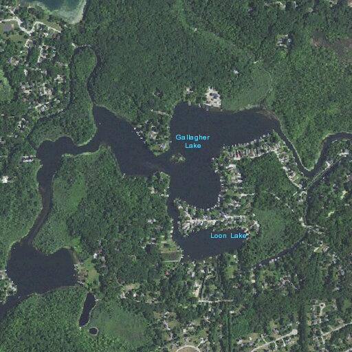Adult fell and conscious at Shoreview Lane