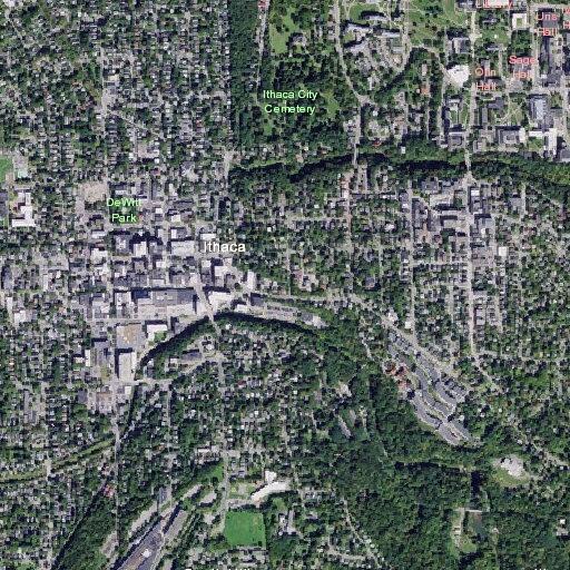 Passenger fell and drowsy on bus in downtown Ithaca