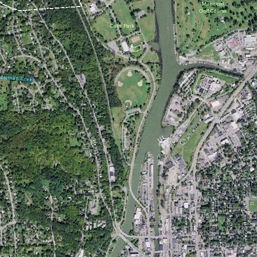 61-year-old male reported sick near Cayuga Park Lane