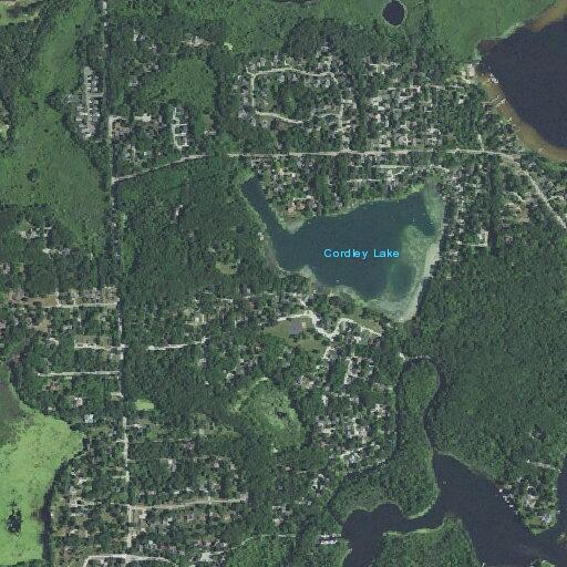 76-year-old woman falls and hits head in Pinckney