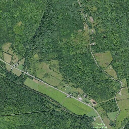 Car and deer collision on State Route 145